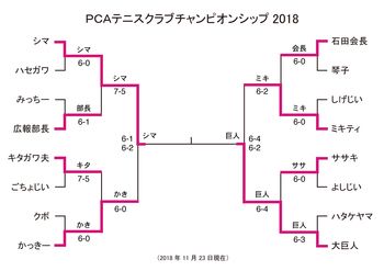 PCA_singles181123.png
